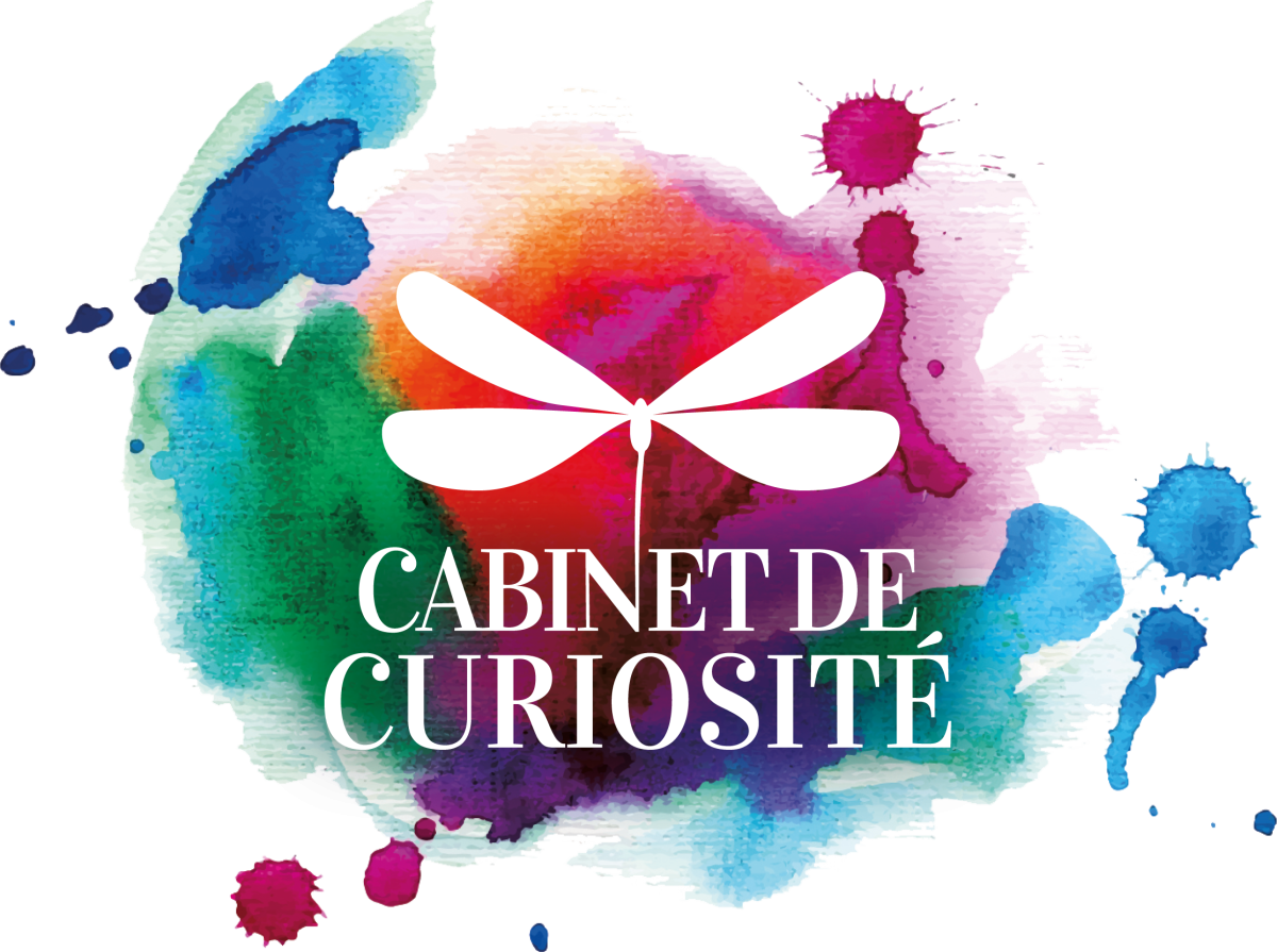 Cabinet de curiosité store